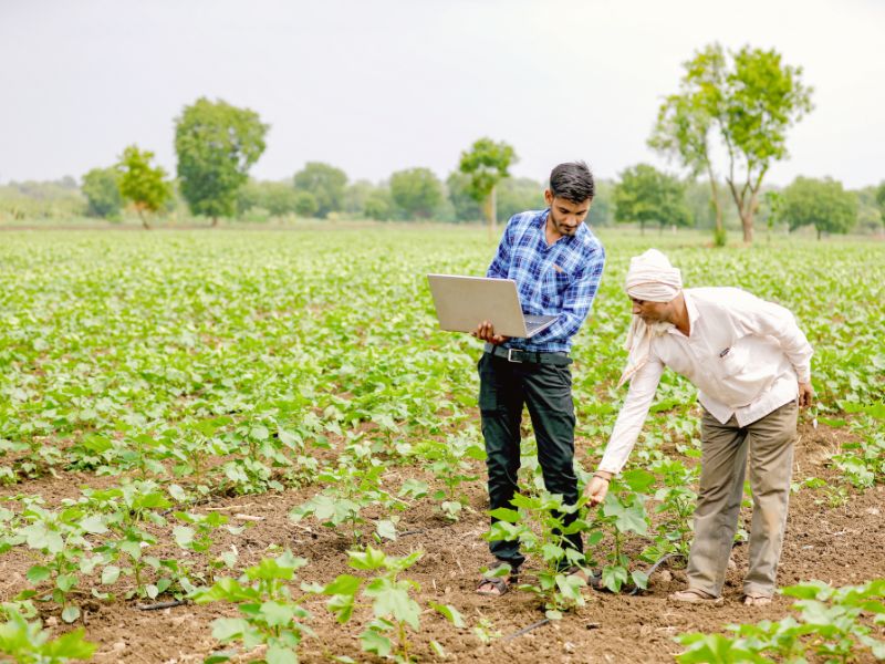 Farmers and Producers — Fortune Path Academy import export course
